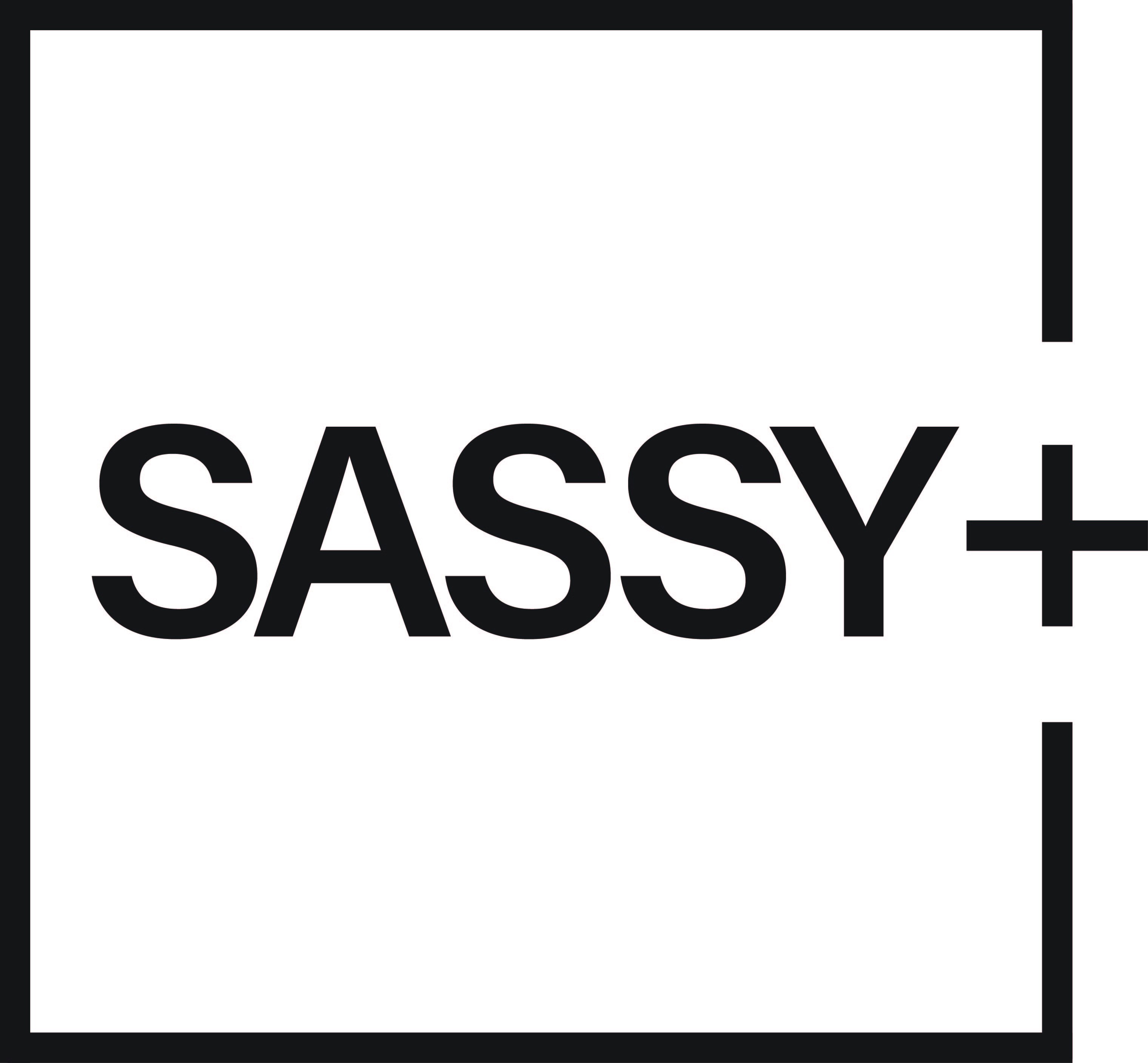 Copy of Sassy Plus Logo black